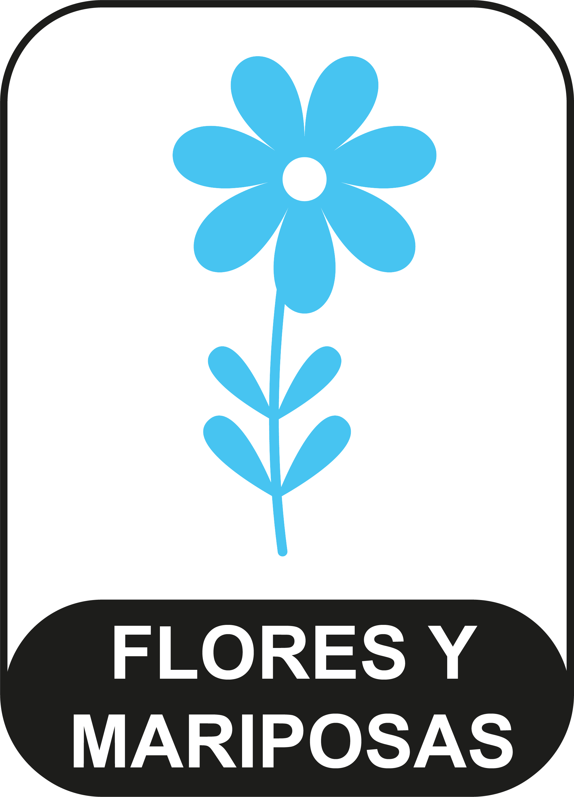 Flores y Mariposas